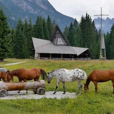 Dolomiti Ferienwohnung, Vacanze. Διαμέρισμα