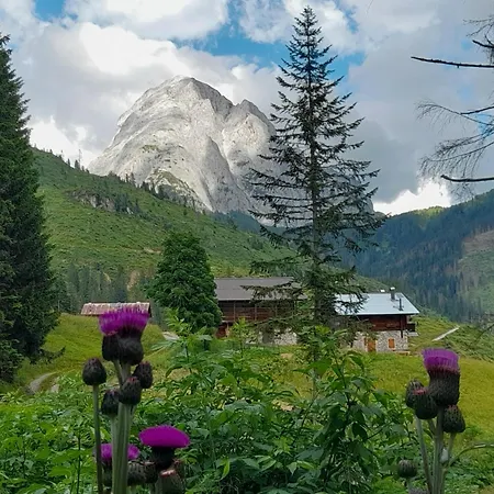 Dolomiti Ferienwohnung, Vacanze. Διαμέρισμα San Pietro di Cadore
