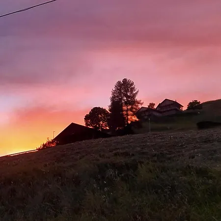 Dolomiti Ferienwohnung, Vacanze. * San Pietro di Cadore