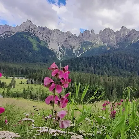 Dolomiti Ferienwohnung, Vacanze.