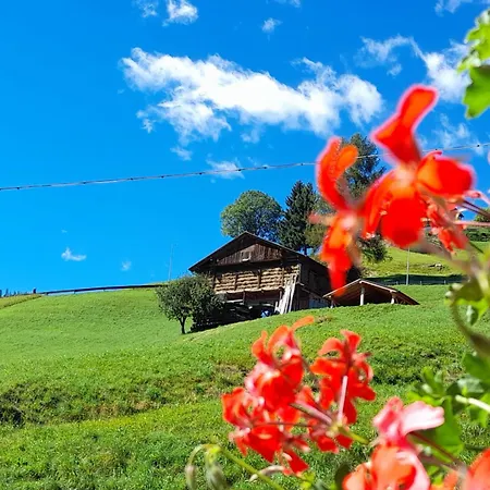 Διαμέρισμα Dolomiti Ferienwohnung, Vacanze.